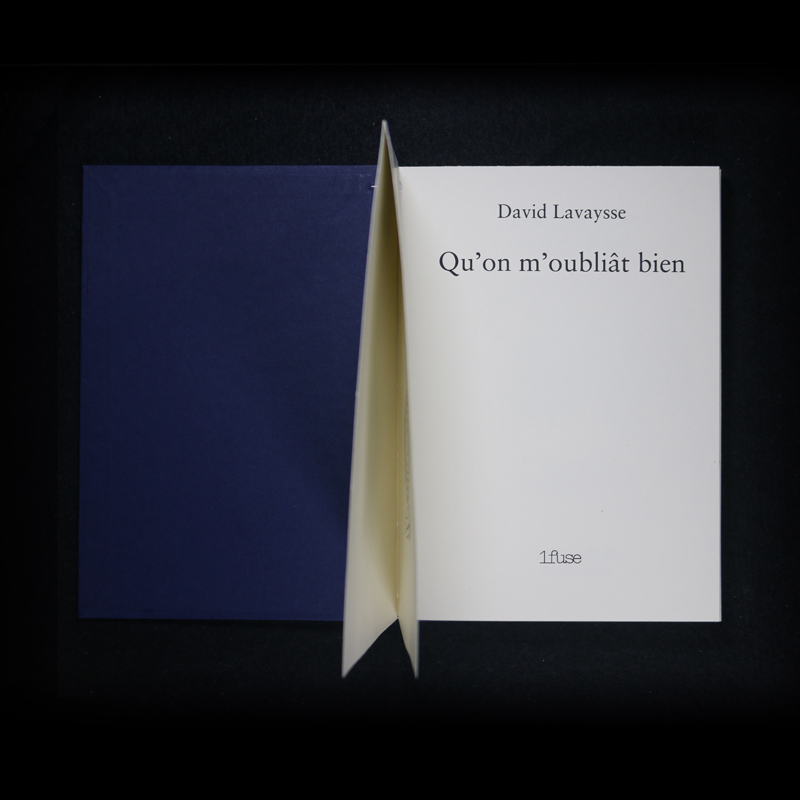 « Qu'on m'oubliât bien » — David Lavaysse